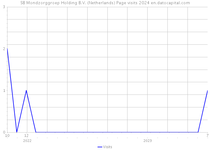 SB Mondzorggroep Holding B.V. (Netherlands) Page visits 2024 
