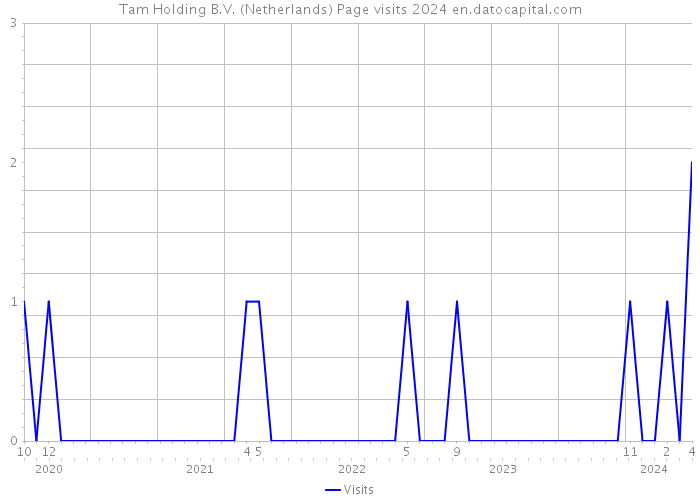 Tam Holding B.V. (Netherlands) Page visits 2024 