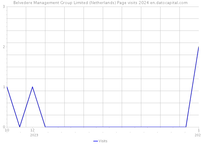 Belvedere Management Group Limited (Netherlands) Page visits 2024 