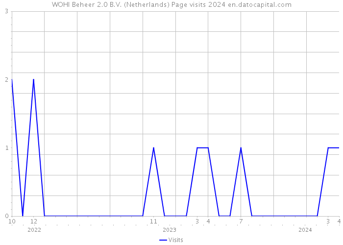 WOHI Beheer 2.0 B.V. (Netherlands) Page visits 2024 