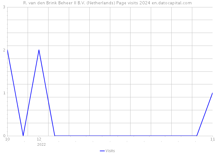 R. van den Brink Beheer II B.V. (Netherlands) Page visits 2024 