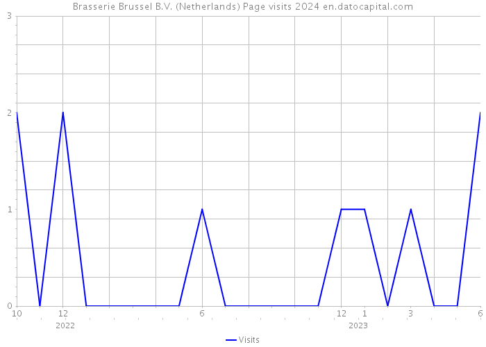 Brasserie Brussel B.V. (Netherlands) Page visits 2024 