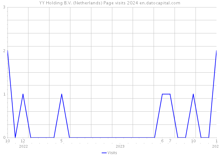 YY Holding B.V. (Netherlands) Page visits 2024 