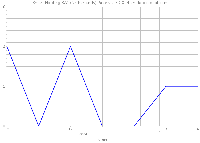 Smart Holding B.V. (Netherlands) Page visits 2024 