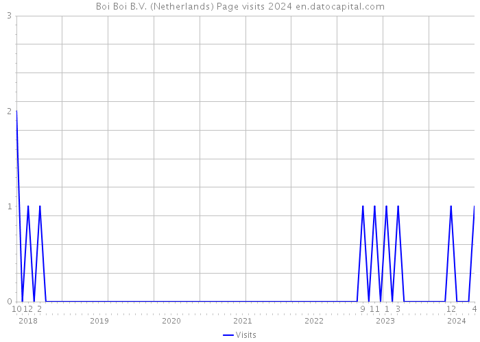 Boi Boi B.V. (Netherlands) Page visits 2024 