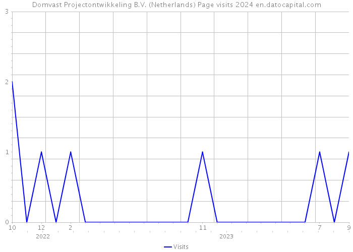 Domvast Projectontwikkeling B.V. (Netherlands) Page visits 2024 