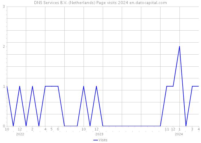DNS Services B.V. (Netherlands) Page visits 2024 