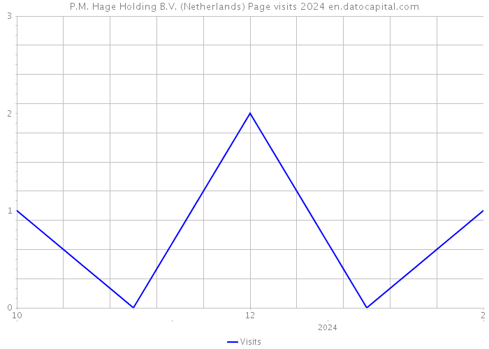 P.M. Hage Holding B.V. (Netherlands) Page visits 2024 