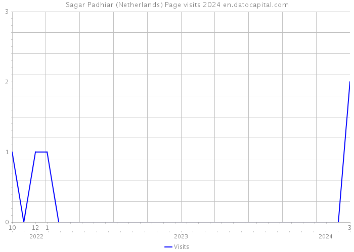 Sagar Padhiar (Netherlands) Page visits 2024 
