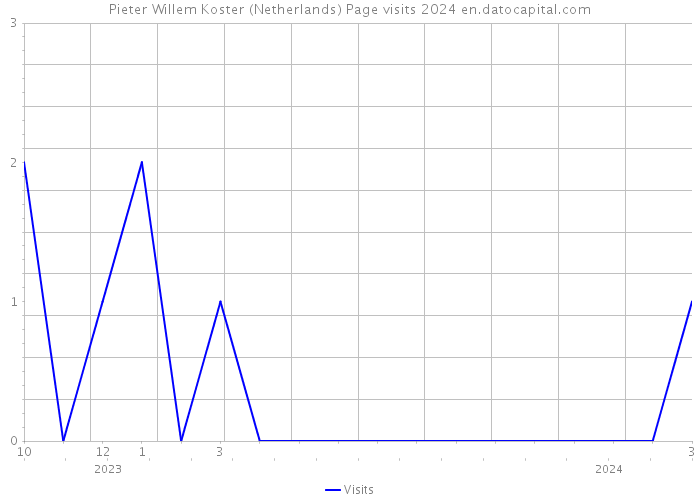 Pieter Willem Koster (Netherlands) Page visits 2024 
