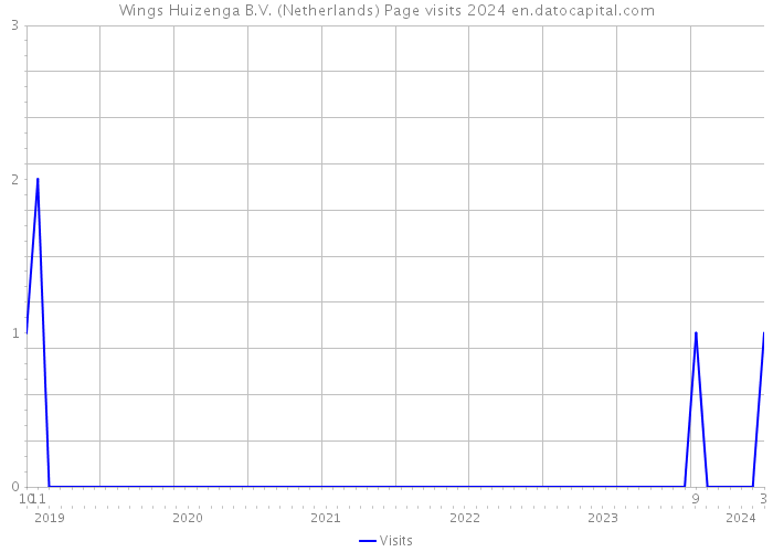 Wings Huizenga B.V. (Netherlands) Page visits 2024 