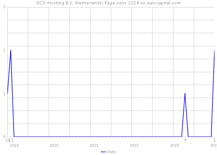 DCS-Holding B.V. (Netherlands) Page visits 2024 