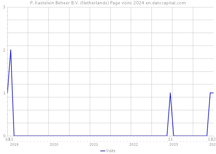 P. Kastelein Beheer B.V. (Netherlands) Page visits 2024 