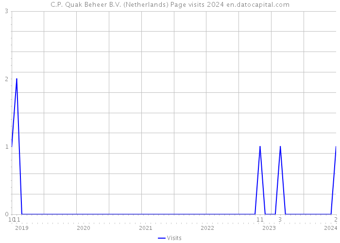 C.P. Quak Beheer B.V. (Netherlands) Page visits 2024 
