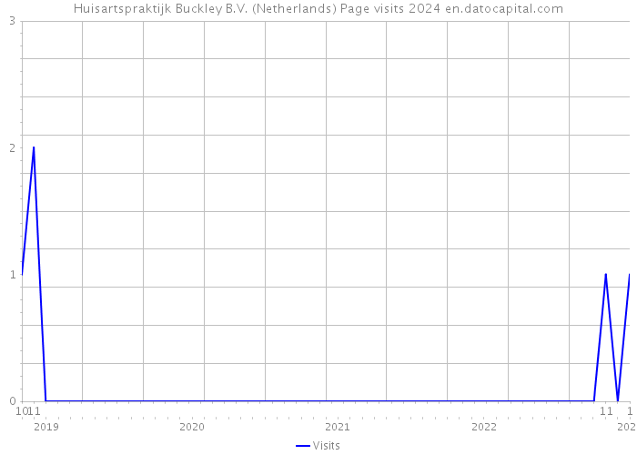 Huisartspraktijk Buckley B.V. (Netherlands) Page visits 2024 