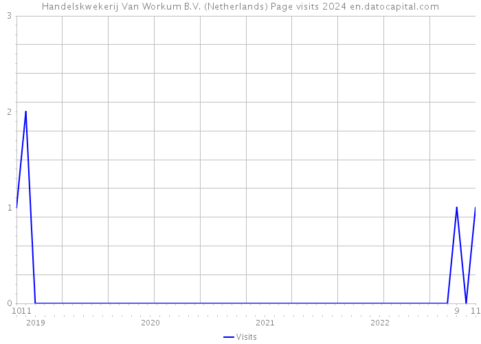 Handelskwekerij Van Workum B.V. (Netherlands) Page visits 2024 