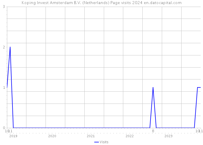 Koping Invest Amsterdam B.V. (Netherlands) Page visits 2024 