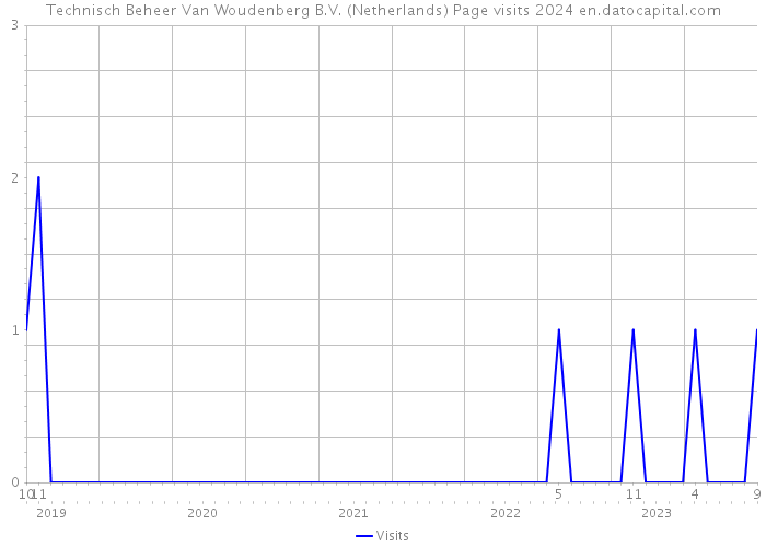 Technisch Beheer Van Woudenberg B.V. (Netherlands) Page visits 2024 