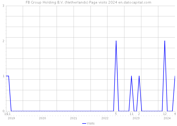 FB Group Holding B.V. (Netherlands) Page visits 2024 