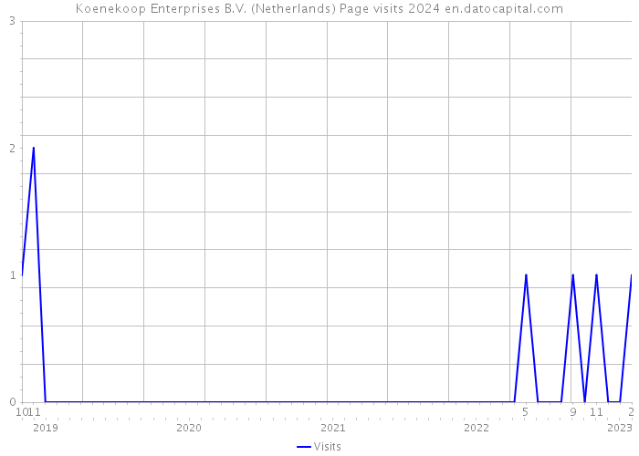 Koenekoop Enterprises B.V. (Netherlands) Page visits 2024 