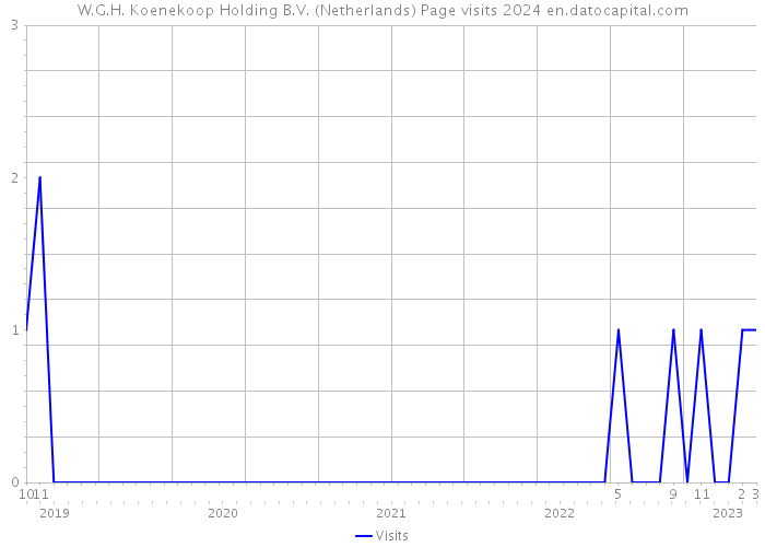 W.G.H. Koenekoop Holding B.V. (Netherlands) Page visits 2024 