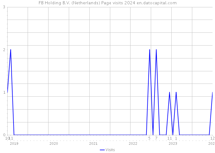 FB Holding B.V. (Netherlands) Page visits 2024 