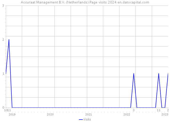 Accuraat Management B.V. (Netherlands) Page visits 2024 