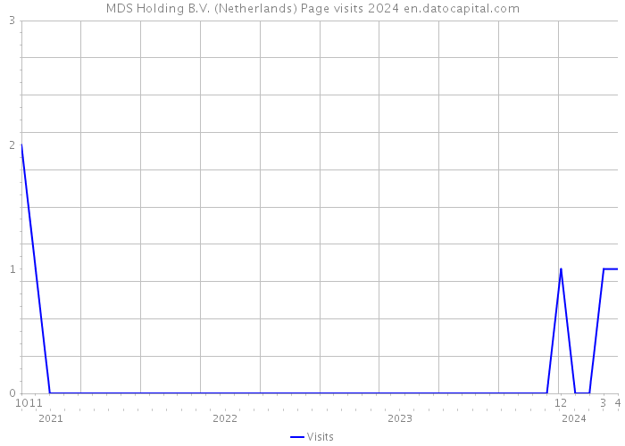 MDS Holding B.V. (Netherlands) Page visits 2024 
