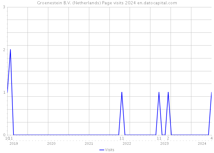Groenestein B.V. (Netherlands) Page visits 2024 