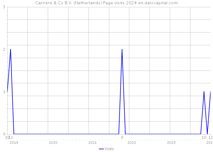Carrière & Co B.V. (Netherlands) Page visits 2024 