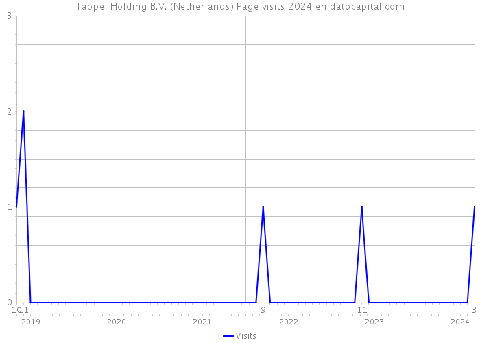 Tappel Holding B.V. (Netherlands) Page visits 2024 