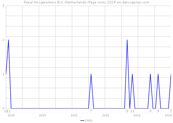 Riwal Hoogwerkers B.V. (Netherlands) Page visits 2024 