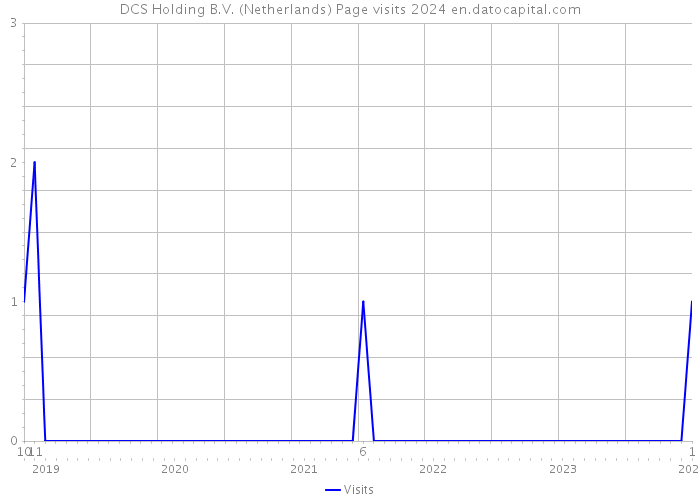 DCS Holding B.V. (Netherlands) Page visits 2024 