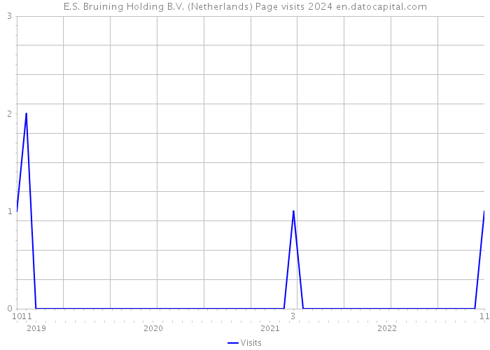 E.S. Bruining Holding B.V. (Netherlands) Page visits 2024 