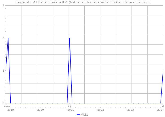 Hogenelst & Huegen Horeca B.V. (Netherlands) Page visits 2024 