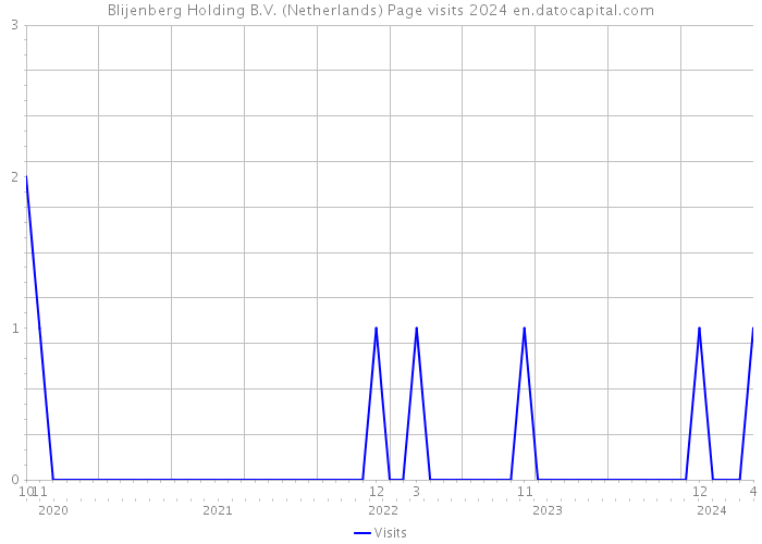 Blijenberg Holding B.V. (Netherlands) Page visits 2024 
