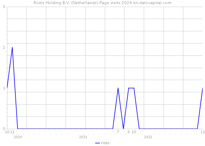 Roels Holding B.V. (Netherlands) Page visits 2024 