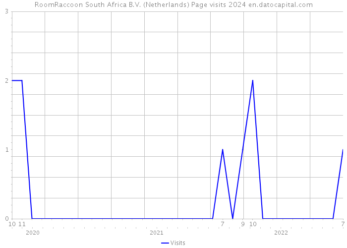RoomRaccoon South Africa B.V. (Netherlands) Page visits 2024 