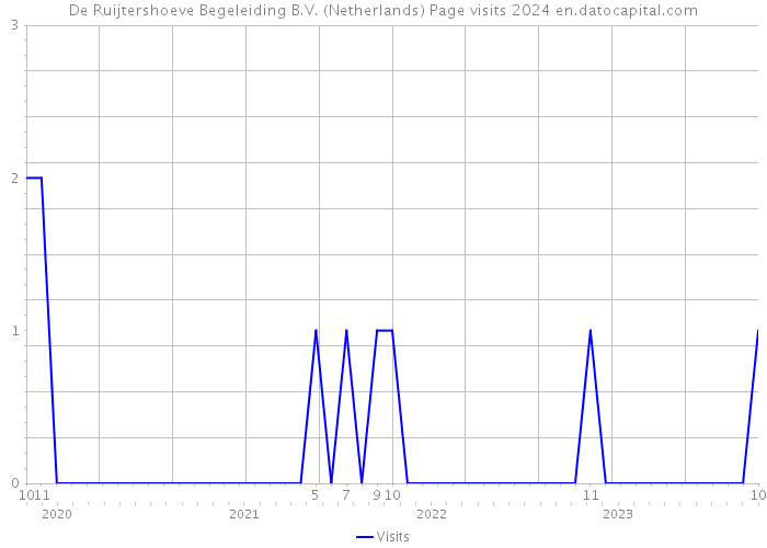 De Ruijtershoeve Begeleiding B.V. (Netherlands) Page visits 2024 