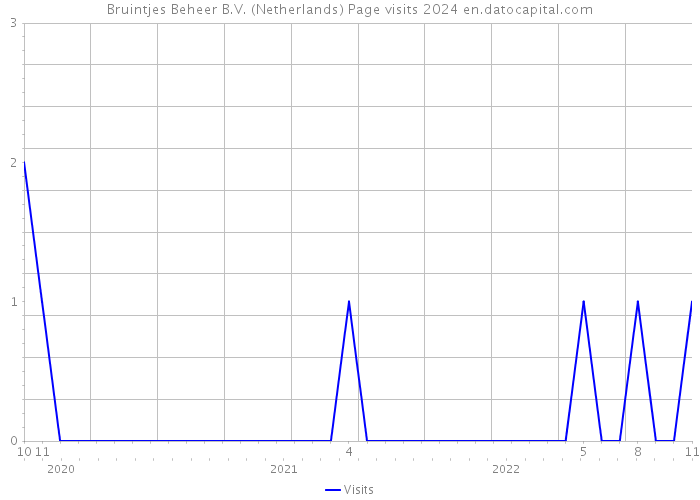 Bruintjes Beheer B.V. (Netherlands) Page visits 2024 