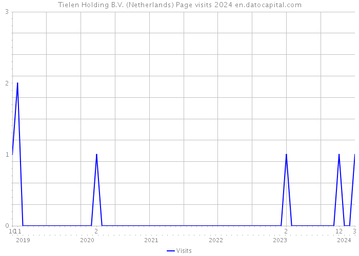 Tielen Holding B.V. (Netherlands) Page visits 2024 
