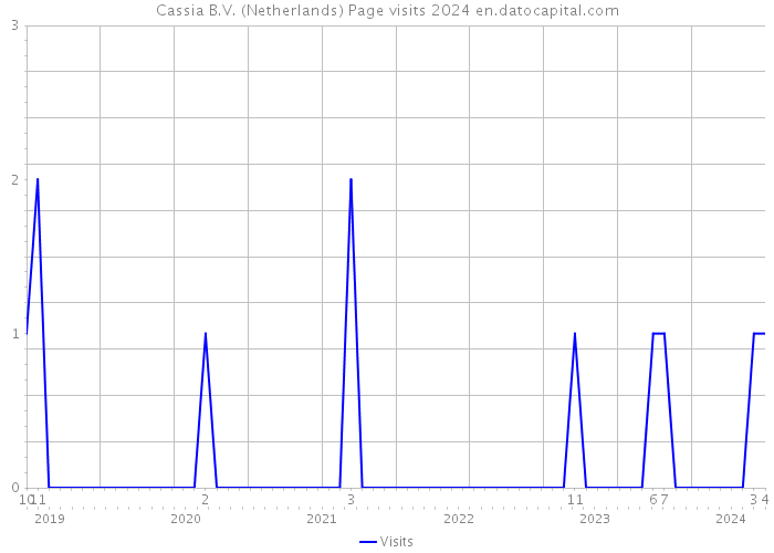 Cassia B.V. (Netherlands) Page visits 2024 
