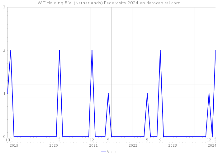 WIT Holding B.V. (Netherlands) Page visits 2024 
