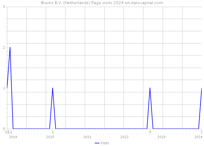 Bruins B.V. (Netherlands) Page visits 2024 