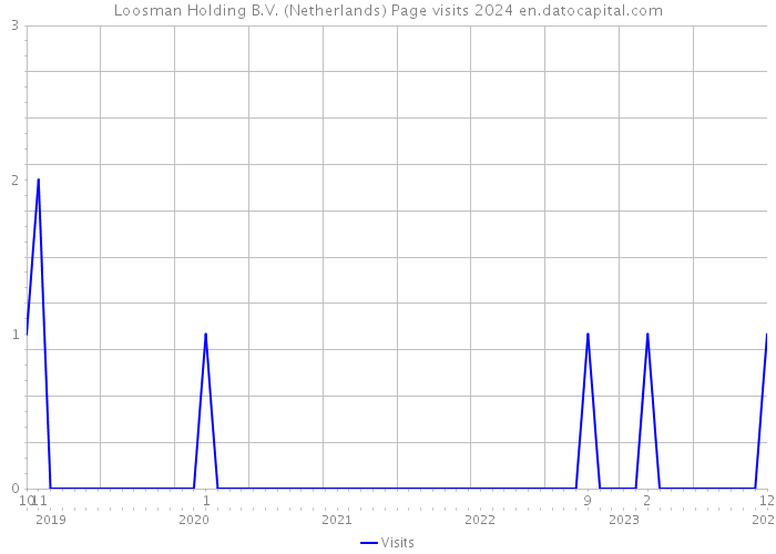 Loosman Holding B.V. (Netherlands) Page visits 2024 