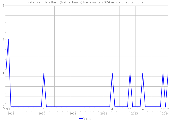 Peter van den Burg (Netherlands) Page visits 2024 