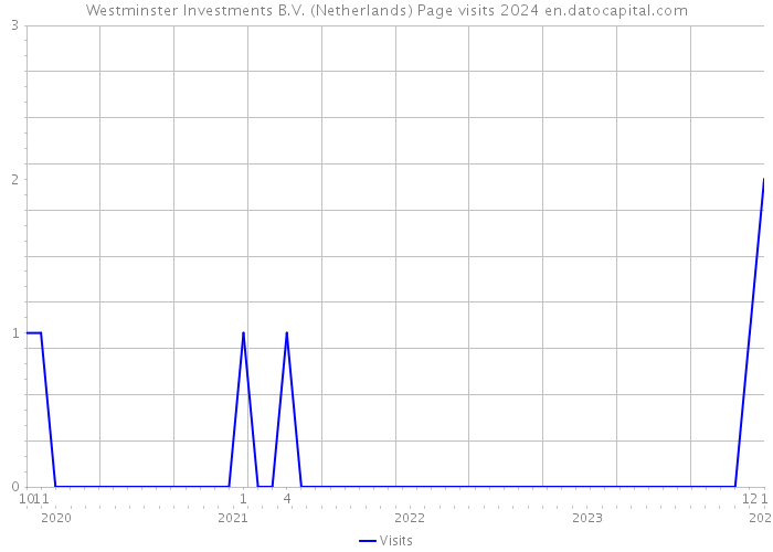 Westminster Investments B.V. (Netherlands) Page visits 2024 