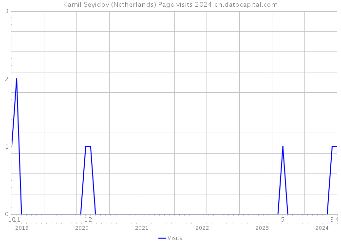 Kamil Seyidov (Netherlands) Page visits 2024 
