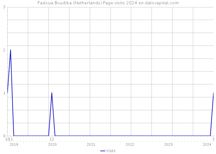 Fadoua Boudiba (Netherlands) Page visits 2024 