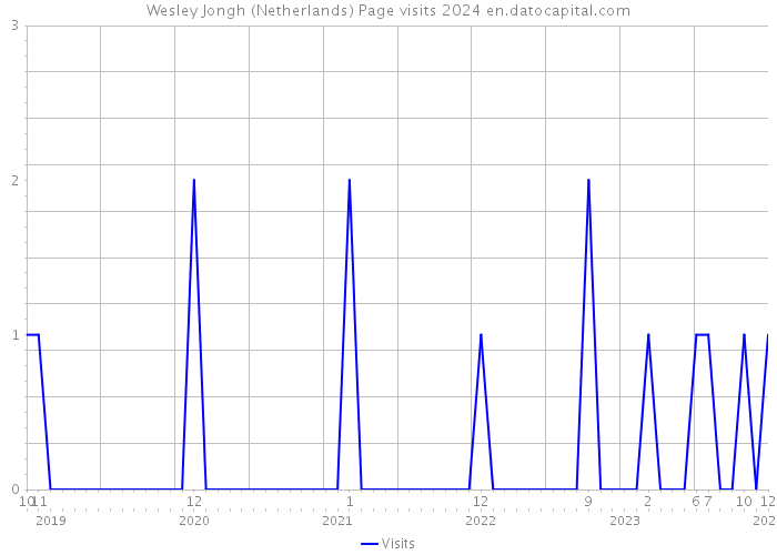 Wesley Jongh (Netherlands) Page visits 2024 